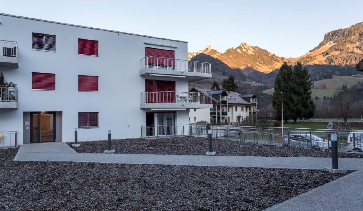 HD - 2016 12 01 - Chemin de la rochenaz 7 - Enney - 123