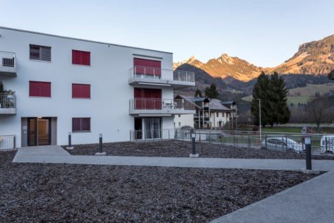 HD - 2016 12 01 - Chemin de la rochenaz 7 - Enney - 123