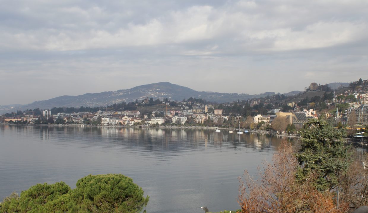 Vue