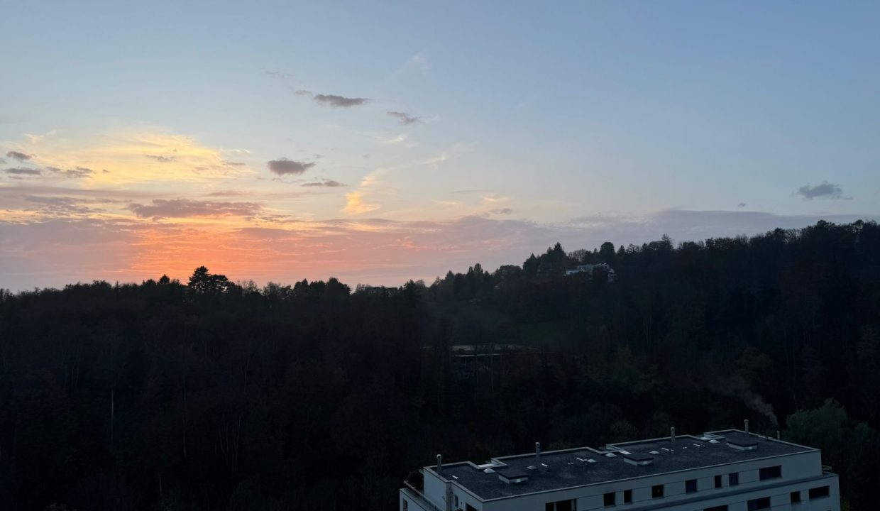 Vue