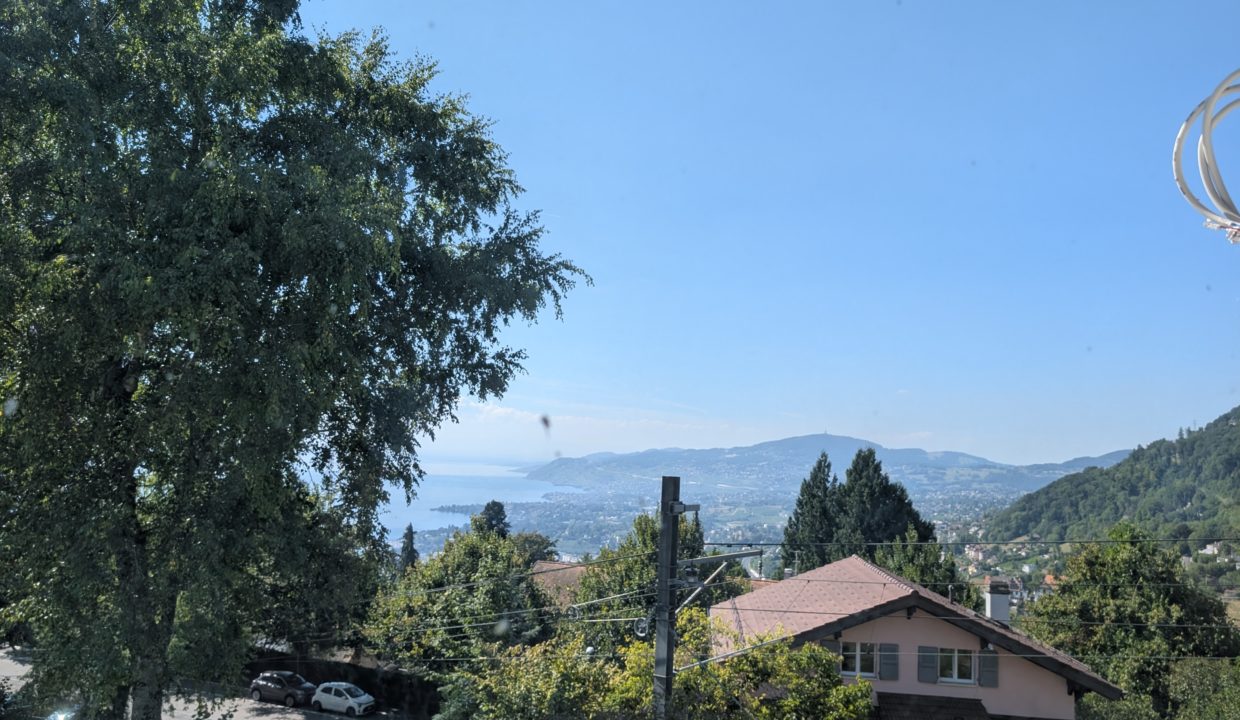 PXL_20250818_140734209.MP