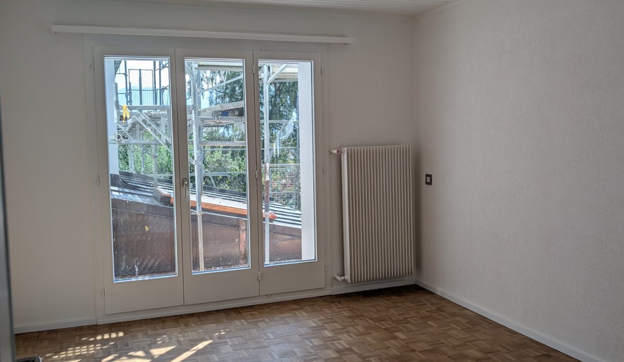 PXL_20250818_140809271.MP