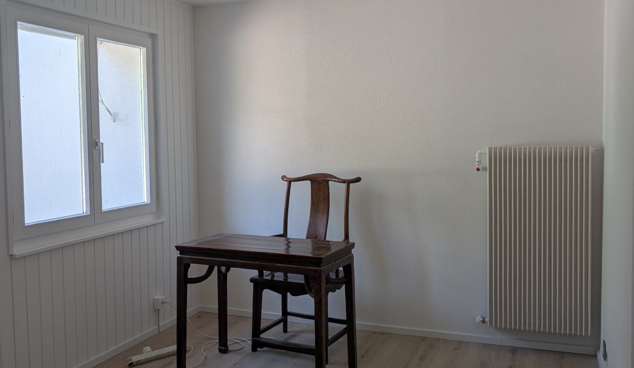 PXL_20250818_140926157.MP