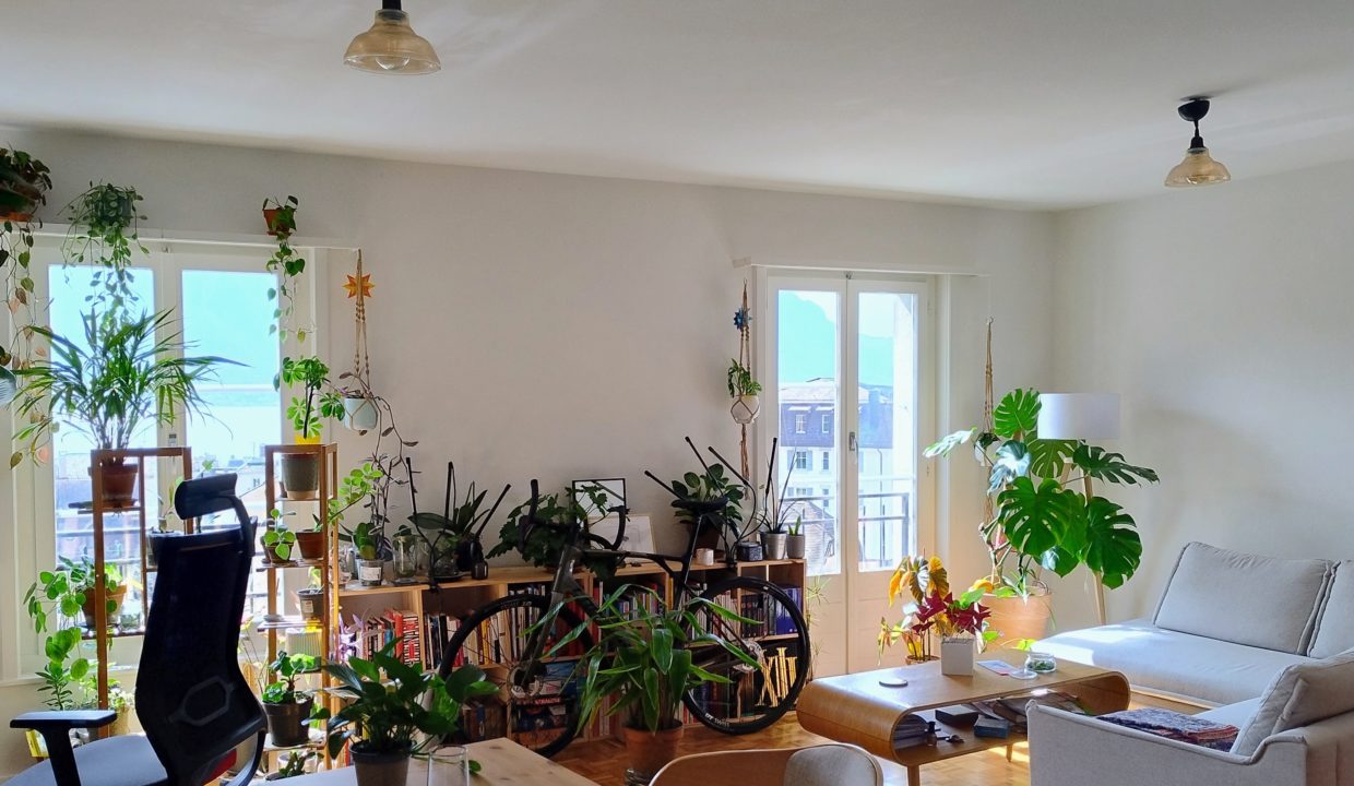 IMG_20240325_135320722_HDR_AE