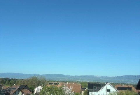 vue (1)