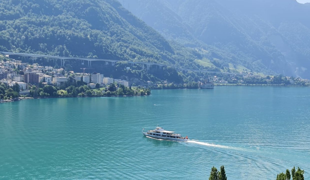 Vue depuis le balcon EST